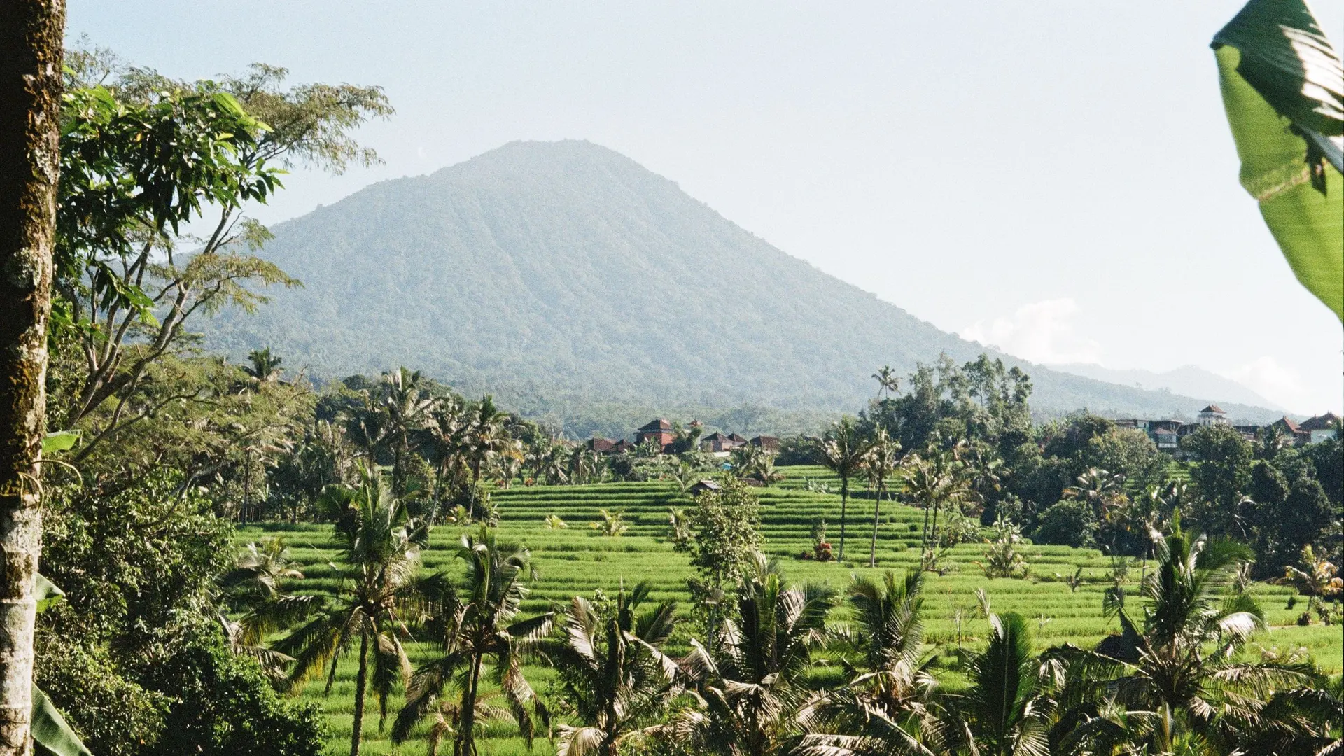 Rice terraces below Mount Agung