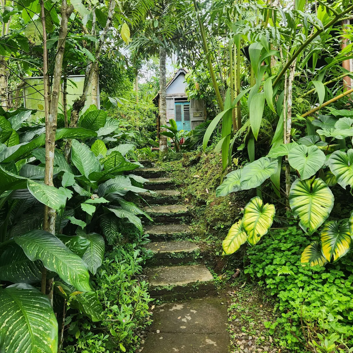 Stone steps winding through a green tropical garden