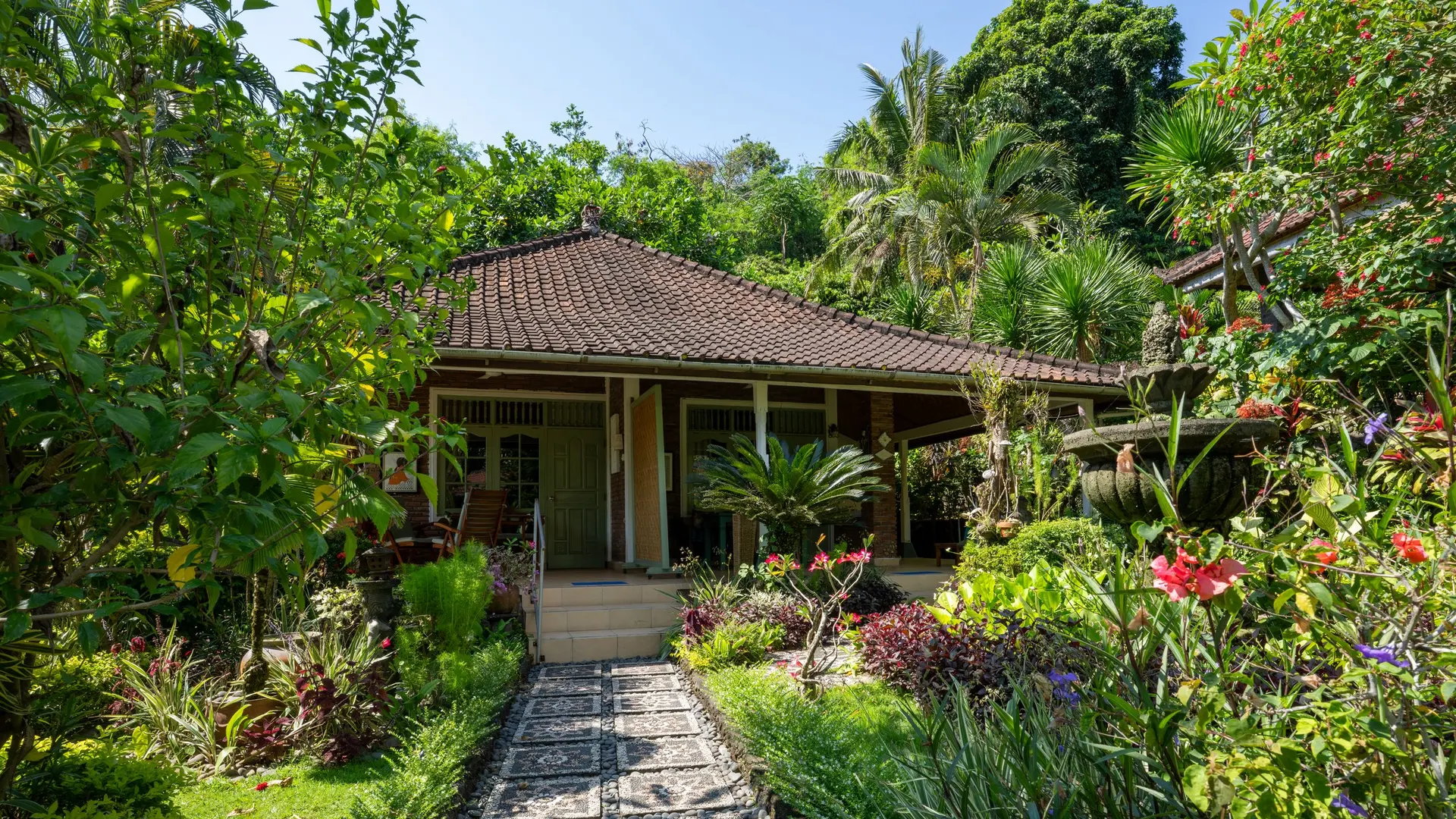 Stone path through a lush tropical garden