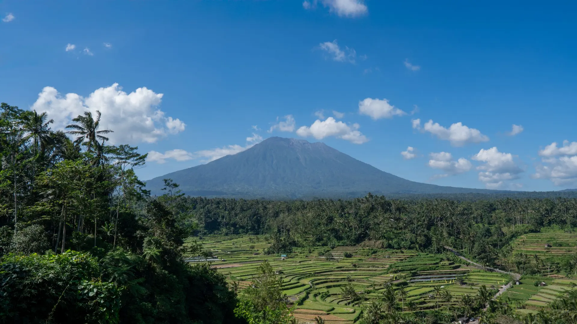 Rice terraces with Mount Agung in the distance